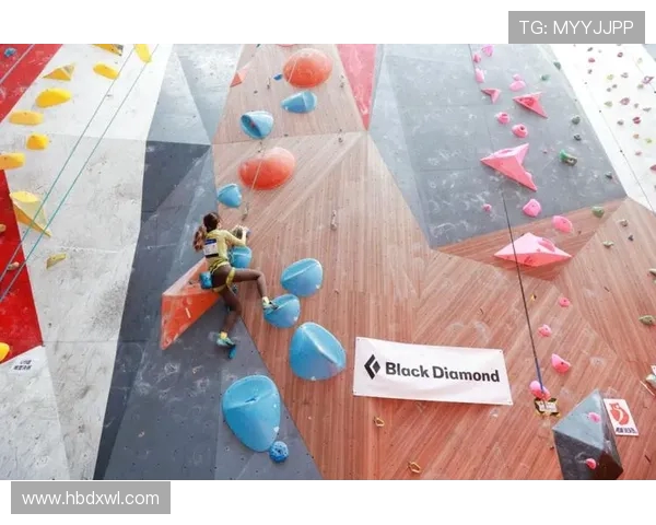 上海攀岩队在攀岩联赛中的团队协作表现与战术分析