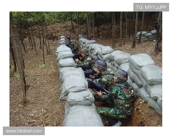 深入分析杭州飞盘队的阵地战策略与战术执行细节 深入分析杭州飞盘队的阵地战策略与战术执行细节