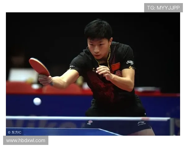 深圳乒乓球队战术之争引发热议球迷与专家观点碰撞激烈